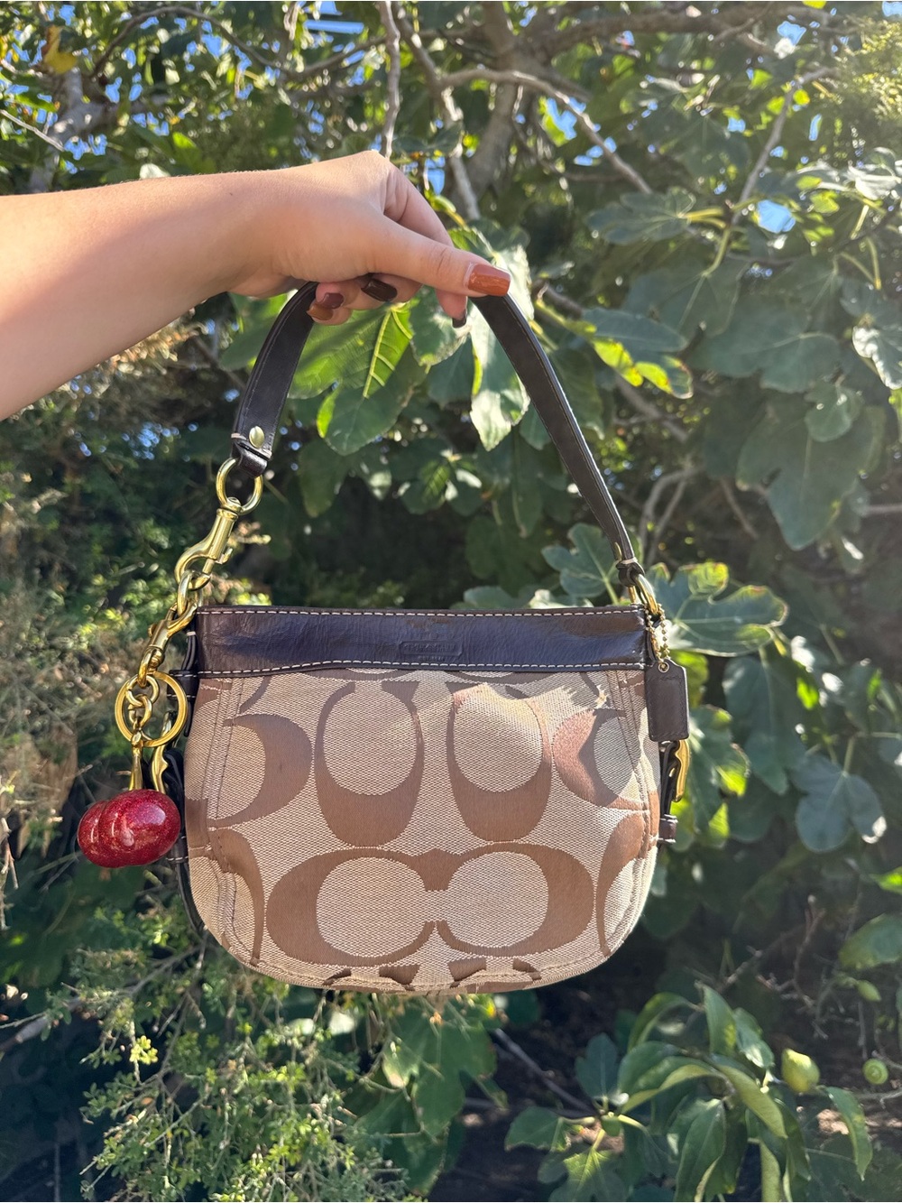 Vintage Coach Y2K Signature Mini Zoe Shoulder Bag